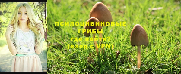 гашишное масло Аркадак