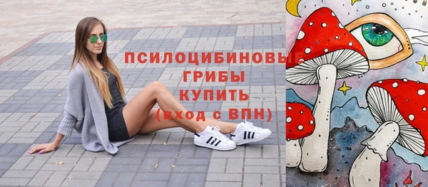 прущая мука Арсеньев