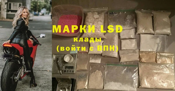 прущая мука Арсеньев