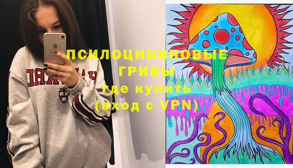 прущая мука Арсеньев
